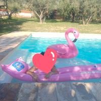 Pompa a piedi e materassino rosa