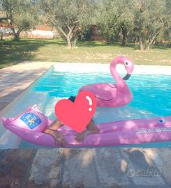 Pompa a piedi e materassino rosa