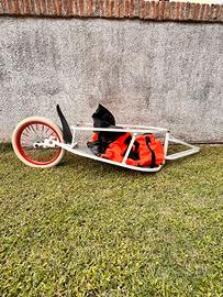 portapacchi bici molto capiente 
