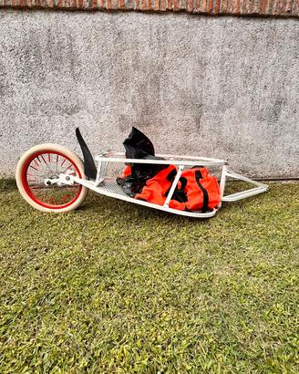 portapacchi bici molto capiente 