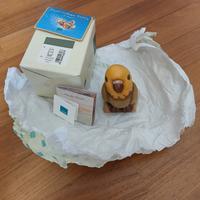 Thun pappagallo fuori produzione