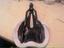 Immagine 5