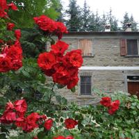 Casale per gruppi "La casa dei ciliegi"