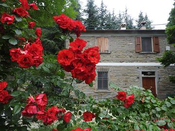 Casale per gruppi "La casa dei ciliegi"