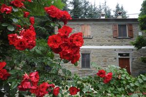 Casale per gruppi "La casa dei ciliegi"