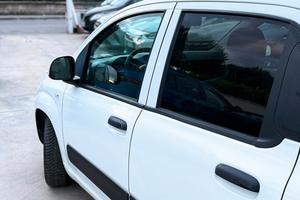 Fiat Panda anno 2019