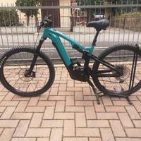 E-Bike Focus