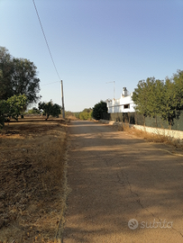 Terreno con casale in contrada cotogni