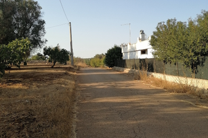Terreno con casale in contrada cotogni