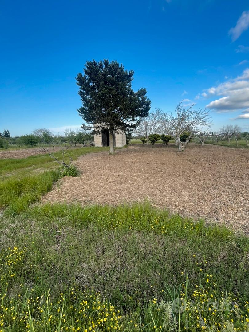 Terreno agricolo edificabile in c/d Camarda - Vista 4