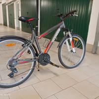 Bici Mountain Bike raggio cm 26 e 21 rapp. shimano
