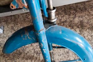 Forcelle e parafango Guzzi lodola