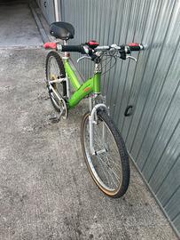 Mountain bike