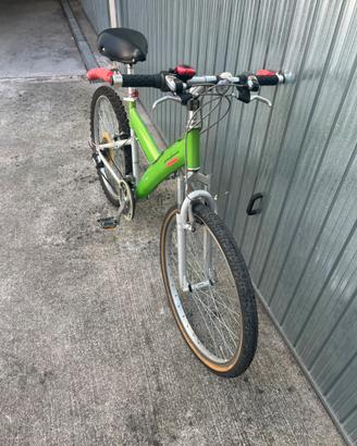 Mountain bike