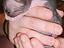 Immagine 4