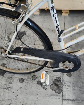bicicletta 