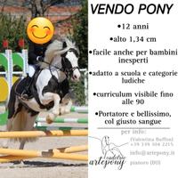 Cavallo