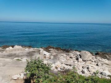 Villa "Alloro e Limoni" sul mare Addaura-Mondello