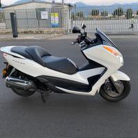 Honda Forza 300 - 2014