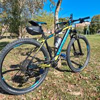 mtb torpado 
