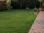 Immagine 26