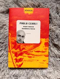 Mare mosso bandiera rossa - Paolo Cevoli