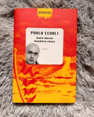 Mare mosso bandiera rossa - Paolo Cevoli