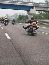 Harley-Davidson Softail Springer - 2002