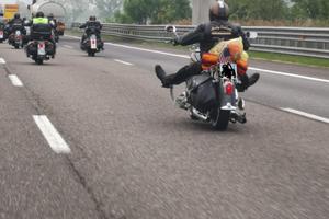 Harley-Davidson Softail Springer - 2002