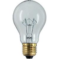 Lotto  100 Lampadine a incandescenza a FILAMENTO