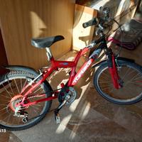 Mountain-bike  ammortizzata  misura  20