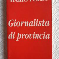 Giornalista di provincia di Mario Pozzo - 2001