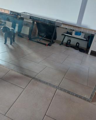 specchiera da bagno