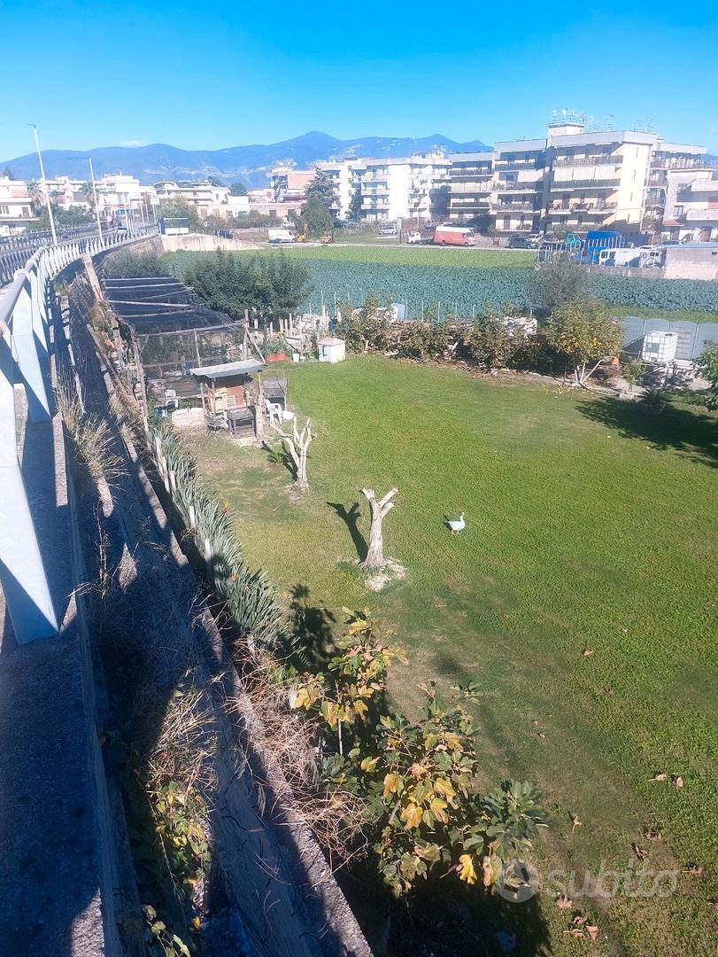 Terreno 1000 mq - Vista 2