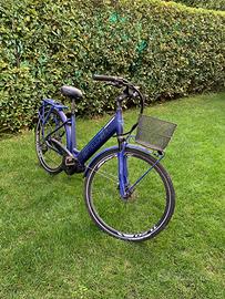 Bottecchia elettrica