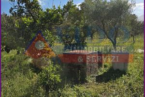 terreno agricolo di 3.700 mq