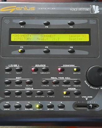 Genius Data Filer  Voice System