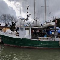 Peschereccio con licenza di pesca 16 GT
