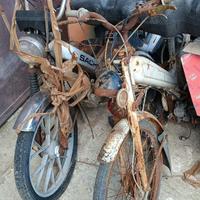 26 ciclomotore mosquito ducati benelli minarelli