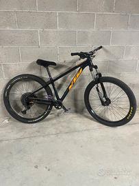 Ktm myroon glorius 2