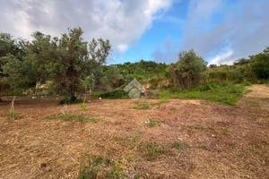 TER. RESIDENZIALE A AMANTEA