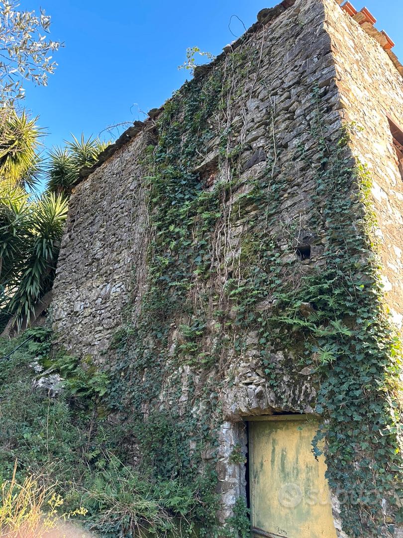 Rustico in pietra con uliveto e vigneto - Vista 3