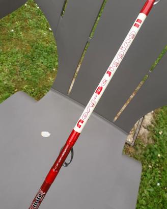 Canna  Milo - Nosy Be-Jijjing