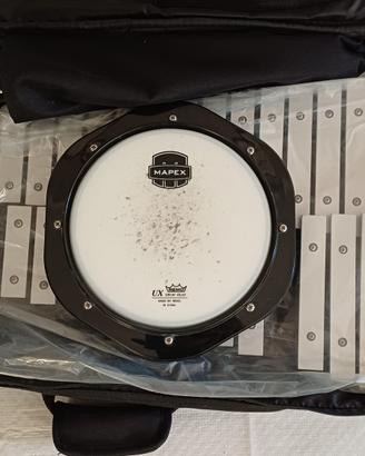Glockenspiel Xilofono