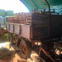 Rimorchio Safiz con timone anni 50 conservato