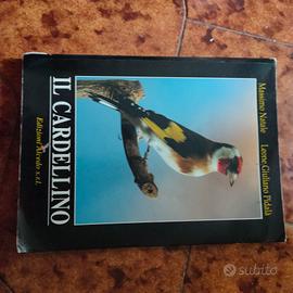 libro il cardellino