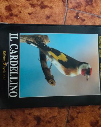 libro il cardellino