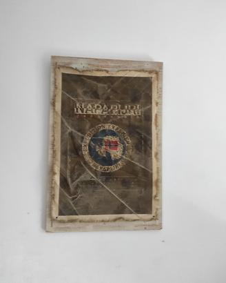 Pannello Decorativo Vintage Napapijri Geographic 