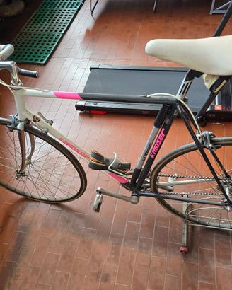 Bici da corsa vintage F. MOSER + bici ROSSIN