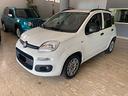 fiat-panda-1-0-gse-s-s-hybrid-pop-van-2-posti